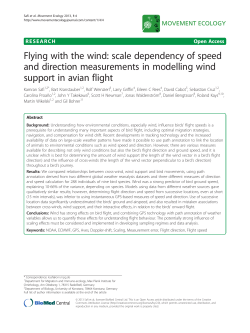 Flying with the wind: scale dependency of speed and direction