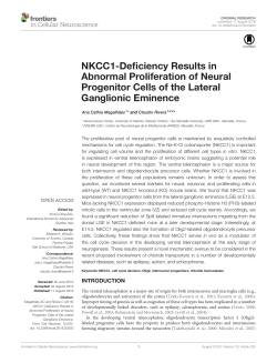 NKCC1-Deficiency Results in Abnormal Proliferation of Neural