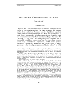 the bald and golden eagle protection act