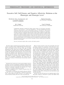 Executive Self, Self-Esteem, and Negative