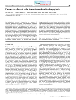 Plasmin on adherent cells: from
