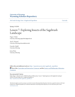 Lesson 7: Exploring Insects of the Sagebrush Landscape