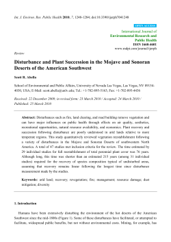 Disturbance and Plant Succession in the Mojave and