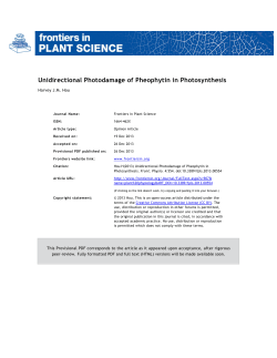 Unidirectional Photodamage of Pheophytin in Photosynthesis