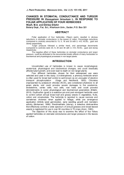 CHANGES IN STOMATAL CONDUCTANCE AND TURGOR