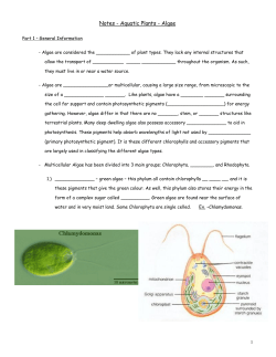 Notes - Aquatic Plants