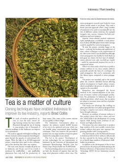 Tea is a matter of culture