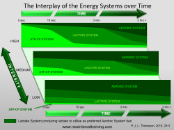 The Interplay of the Energy Systems over Time