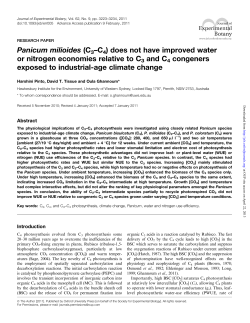 Panicum milioides (C3&ndash;C4) does not have improved water