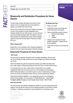Biosecurity and Disinfection Procedures for Horse Owners