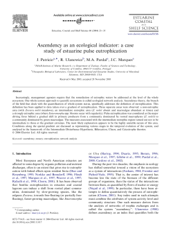 a case study of estuarine pulse eutrophication