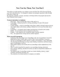 Now You See Them, Now You Don`t teachers packet