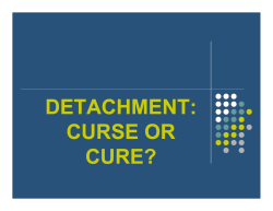 Detachment - 2017 Planners Conference