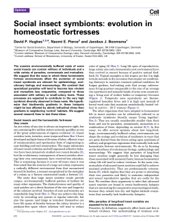Social insect symbionts: evolution in homeostatic fortresses