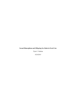 Sexual dimorphism and offspring sex ratio in feral cats