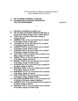 IN THE COURT OF APPEAL OF BELIZE AD 2011 CIVIL APPEAL