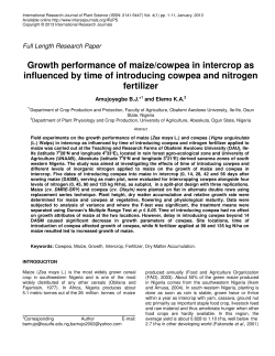 Growth performance of maize/cowpea in intercrop as influenced by