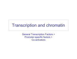 Transcription and chromatin