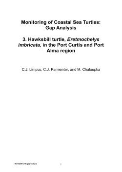 Monitoring of Coastal Sea Turtles Gap Analysis 3 Hawksbill Turtles
