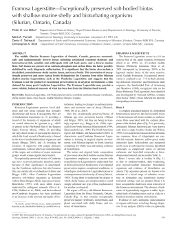 Geology - University of Leicester