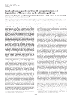 Basal and human papillomavirus E6 oncoprotein