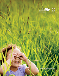 Print version  - Environmental Defense Fund