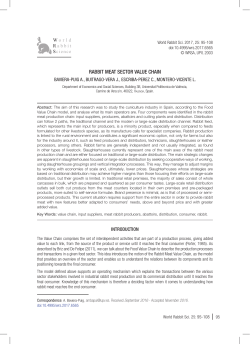 rabbit meat sector value chain - RiuNet
