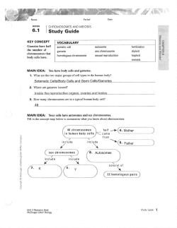 6.1 Study Guide KEY