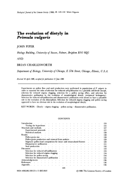 The evolution of distyly in Primula vulgaris