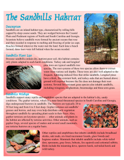 The Sandhills Habitat