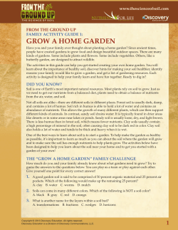 grow a home garden - The Science Of Soil