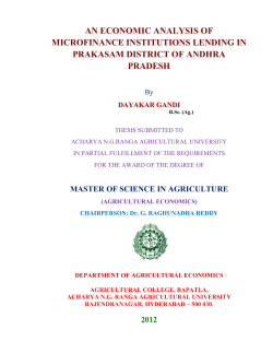 an economic analysis of microfinance institutions