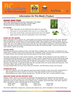 sugar snap peas - Agriculture in Classroom Canada