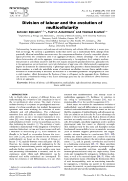 Division of labour and the evolution of multicellularity