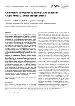 Chlorophyll fluorescence during CAM-phases in