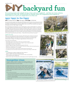 iggy tiggy in the figgy trampoline clean