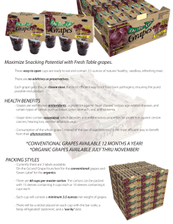 On the Go Grapes - Custom Produce Sales