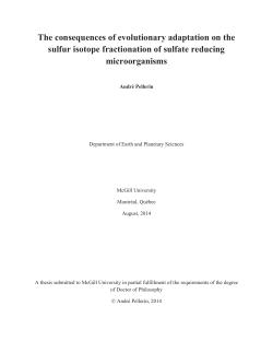 The consequences of evolutionary adaptation on the sulfur isotope