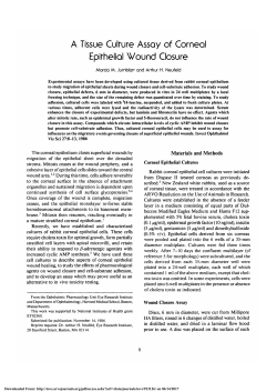 A tissue culture assay of corneal epithelial wound closure.