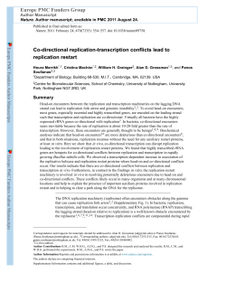 Co-directional replication-transcription conflicts