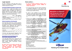 Sevenich - Morphin-Flyer englisch Frontseite 16.5.08