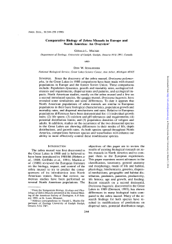 Comparative Biology of Zebra Mussels in Europe and North America