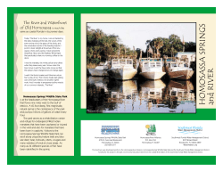 Brochure - Homosassa River Alliance