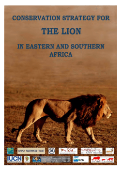 Eastern and Southern African Lion Conservation Strategy