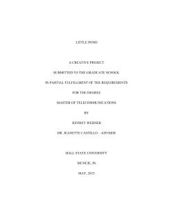 little pond a creative project submitted