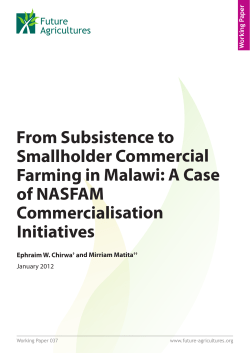 From Subsistence to Smallholder Commercial Farming in Malawi: A