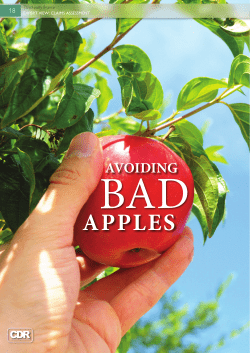 click on the pdf version