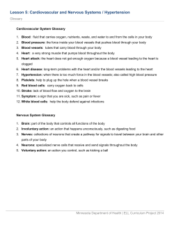 Lesson 5: Cardiovascular and Nervous Systems