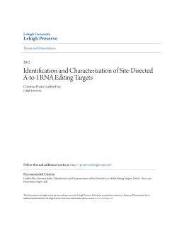 Identification and Characterization of Site