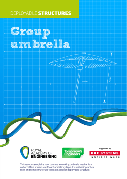 Group umbrella - Royal Academy of Engineering